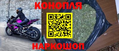 сатива Лесосибирск